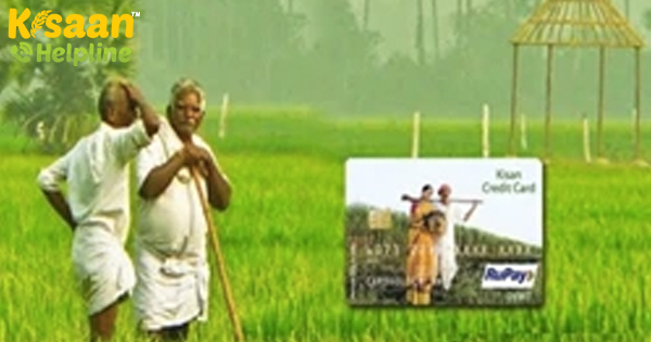 किसान क्रेडिट कार्ड: जानिए क्यों आप केसीसी ऋण प्राप्त करने में समस्या का सामना कर रहे हैं, इस नंबर पर कॉल करें किसान क्रेडिट कार्ड: जानिए क्यों आप केसीसी ऋण प्राप्त करने में समस्या का सामना कर रहे हैं, इस नंबर पर कॉल करें